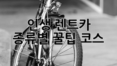 인생 렌트카, 종류별 꿀팁 코스! 🚗💨