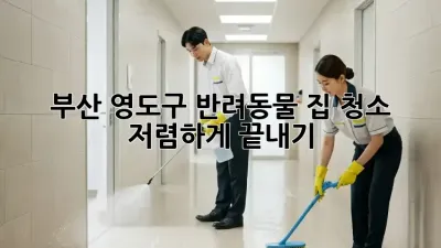 부산 영도구 반려동물 집 청소, 저렴하게 끝내기!
